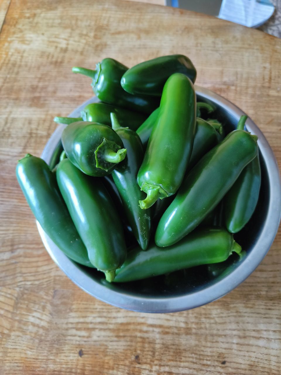 Перець Халапеньйо/Jalapeno/Халапеньо