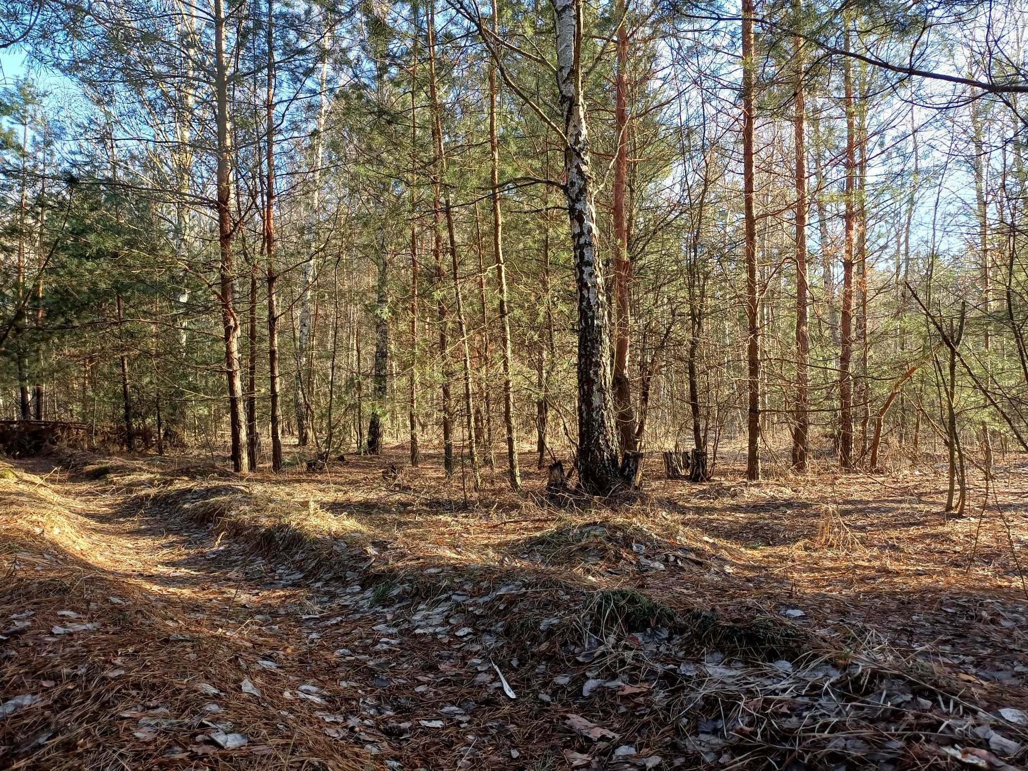 Круги, приваблива ділянка 15 соток під будівництво, ліс.