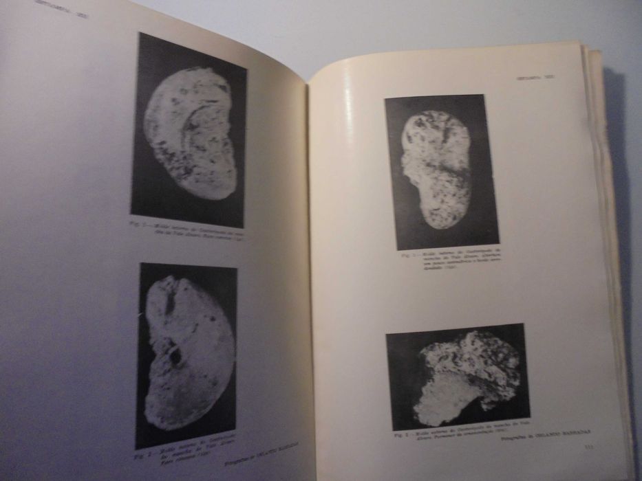 Ramalhal (Fernando);Bragança-Estudo Geológico e Sedimentário;