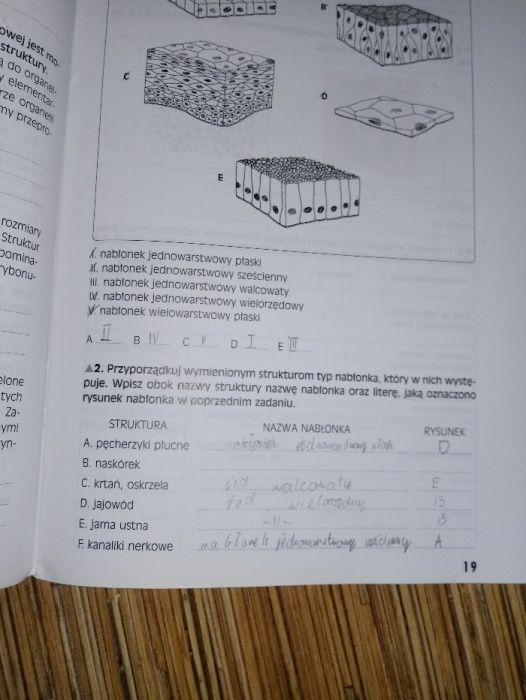OPERON Biologia 1 Małgorzata Łaszczyca Grażyna Skirmuntt zestaw