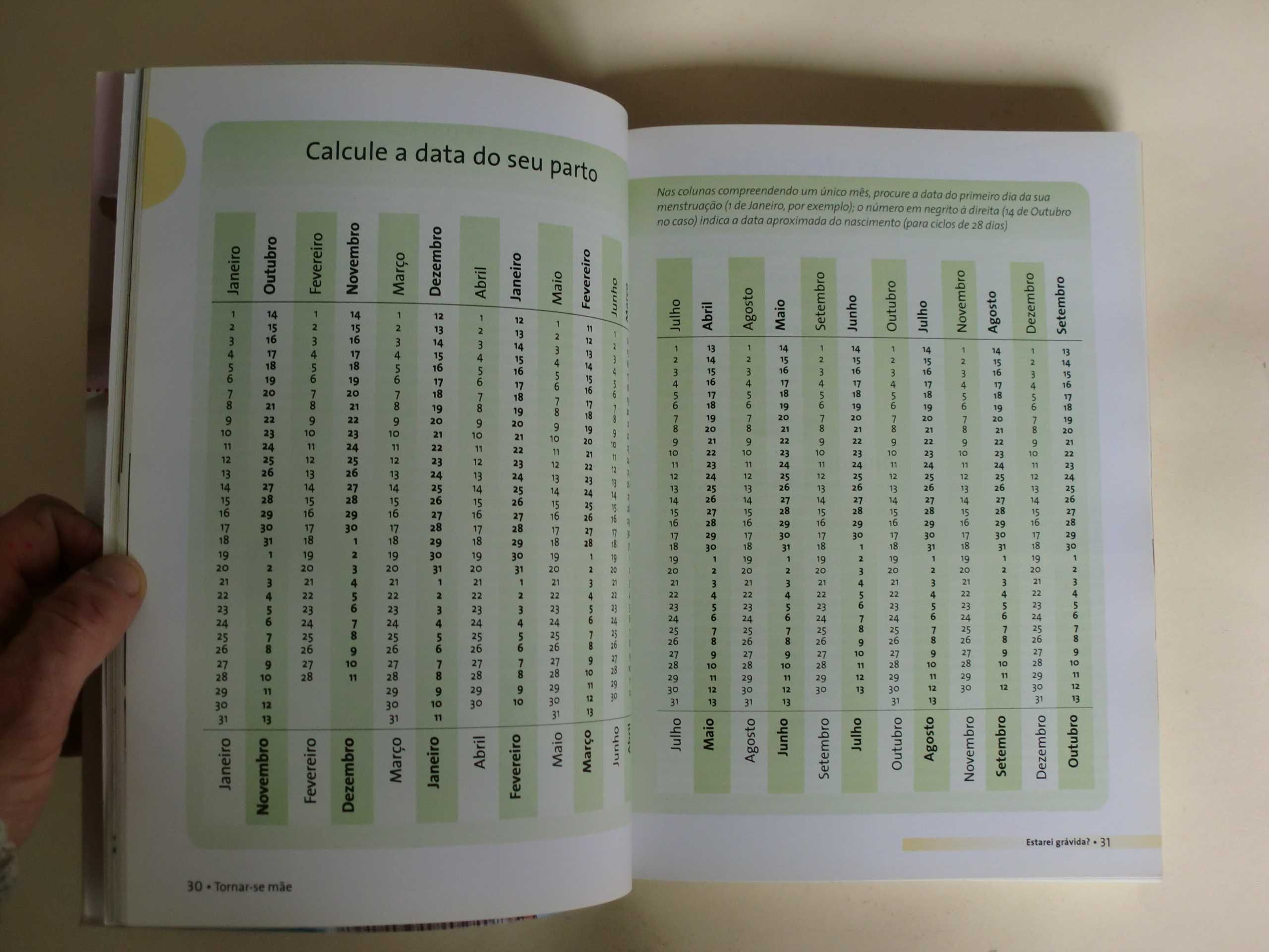 Viver bem a sua Gravidez - Larousse Sob a direcção da Drª Anne Théau