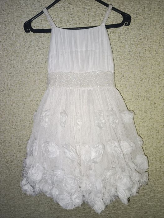 Білосніжна пишна сукня
