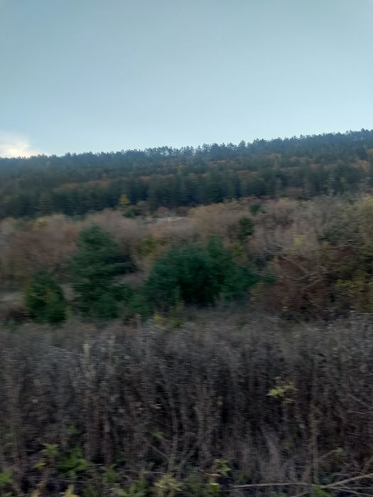 Терміново продам земельну ділянку 8 соток