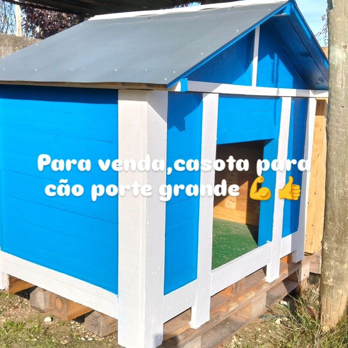 Vendo casota para cão de porte grande