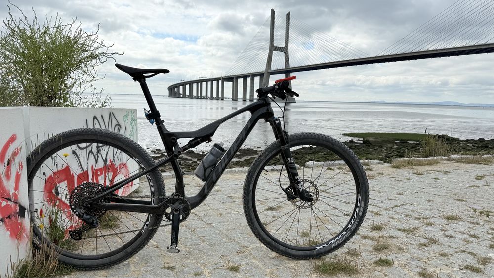 Coluer Stake carbono