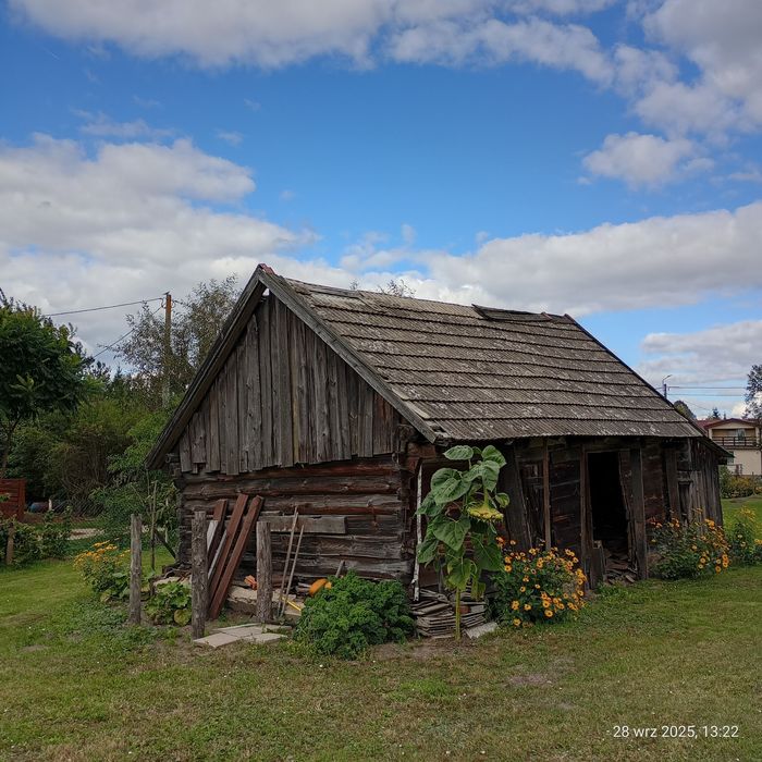 Szopa stodoła do rozbiórki