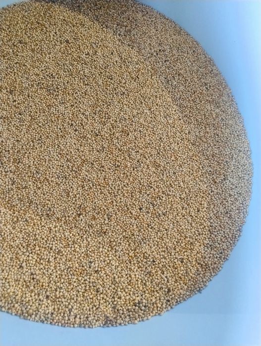 Proso Ekologiczne z Kwalifikatu! Możliwa wysyłka!