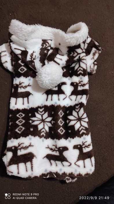 Одяг   для   собачок двох видів