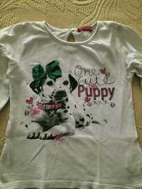 Camisola puppy 6 anos