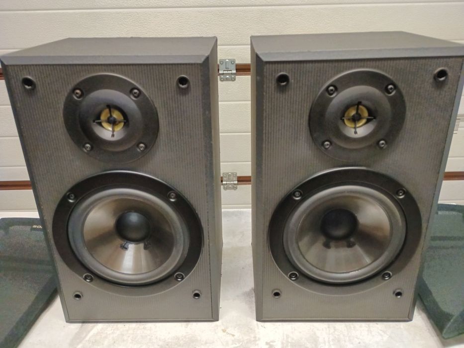 Kolumny, monitory SONY 100 WAT