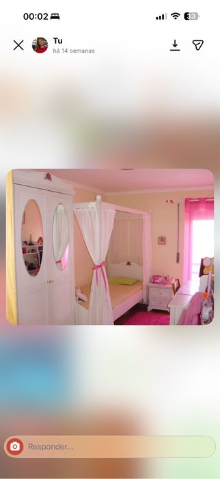 Vendo Cama+Colchão e estrutura de véu+ Cabeceira e Roupeiro