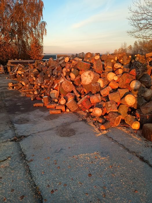 Drewno opałowe sosna modrzew akacja