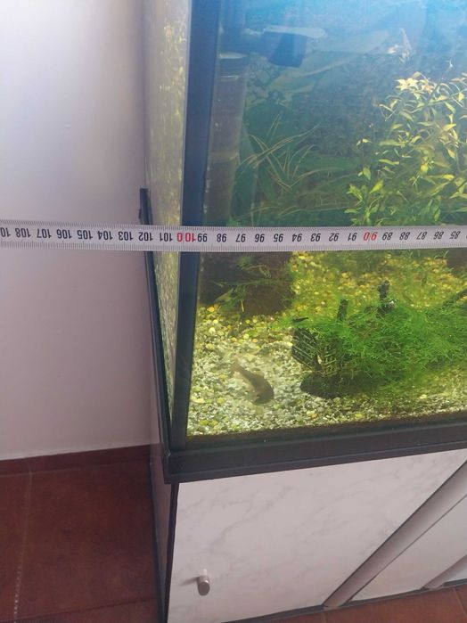 Aquário para venda