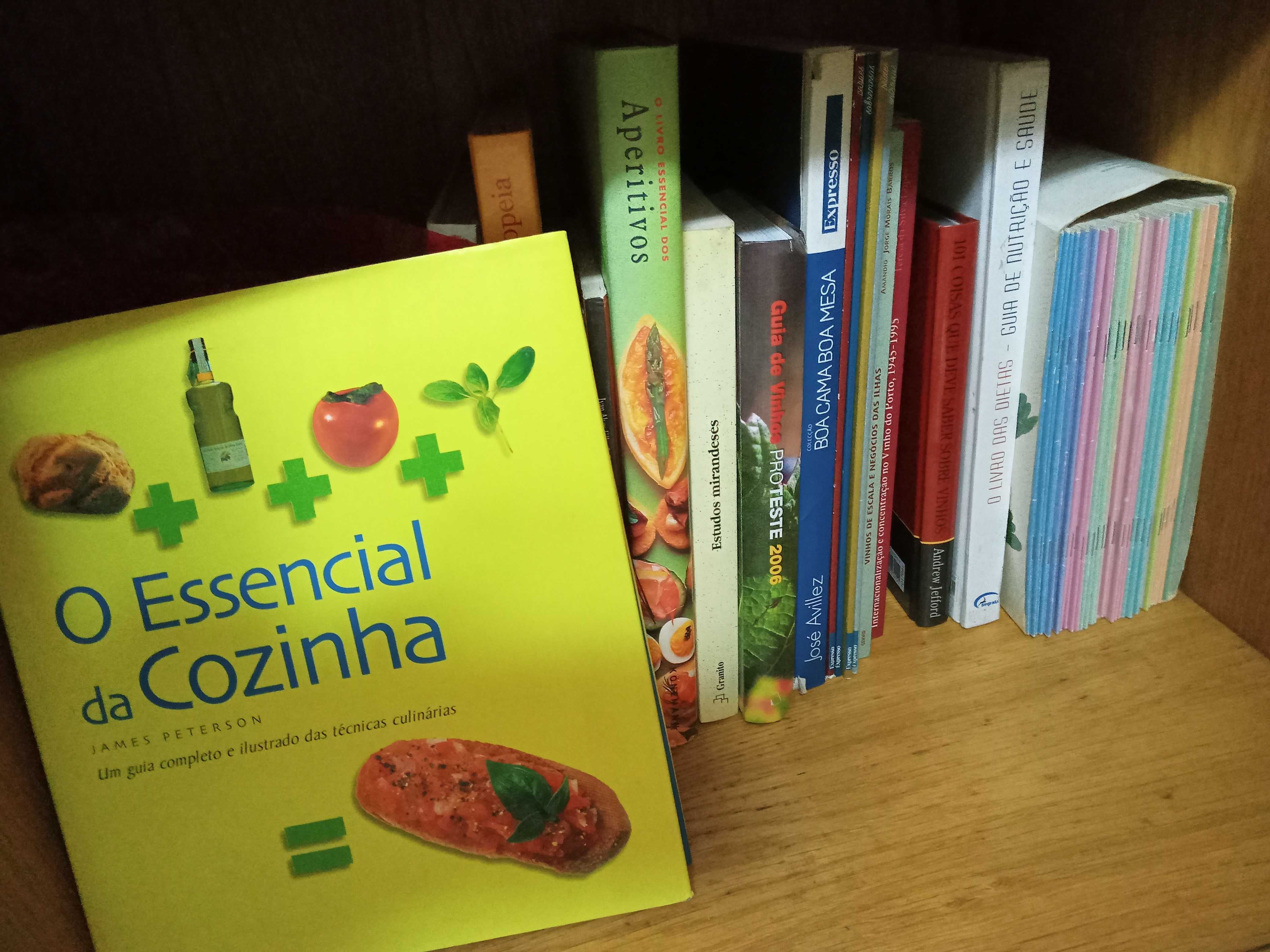 Acervo de cerca de 300 Livros de Culinária