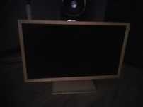 monitor z tv 22 cale