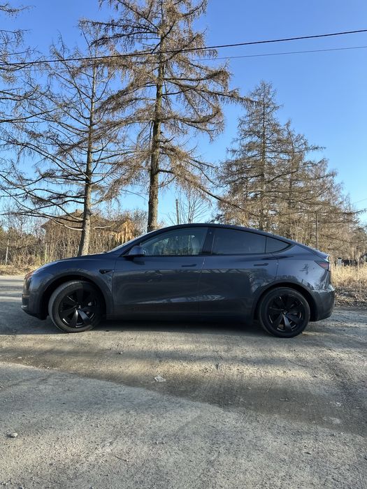 Tesla Y 2021/2022рік