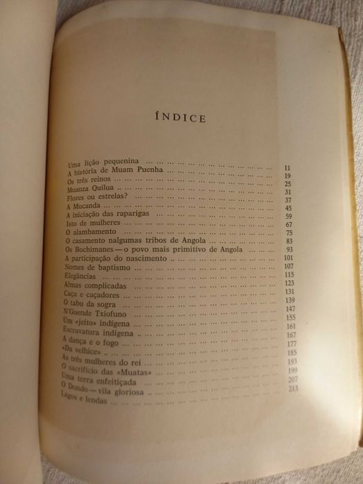 Livro de João Falcato Raízes de Angola
