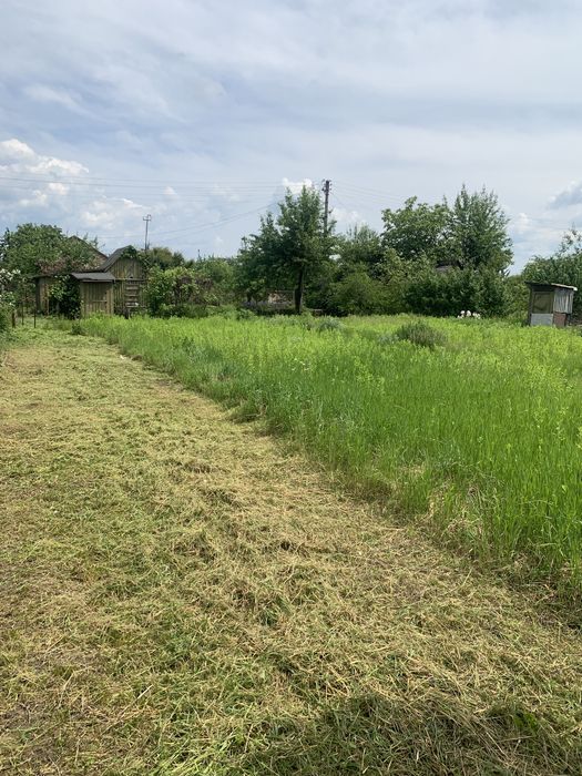 Спил аварийных деревьев, очистка участков, вывоз мусора, обрезка сада.
