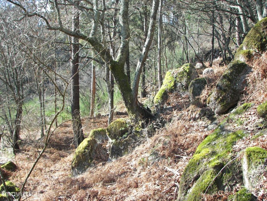 Terreno com 3851m2 em Vila Cova, Fafe