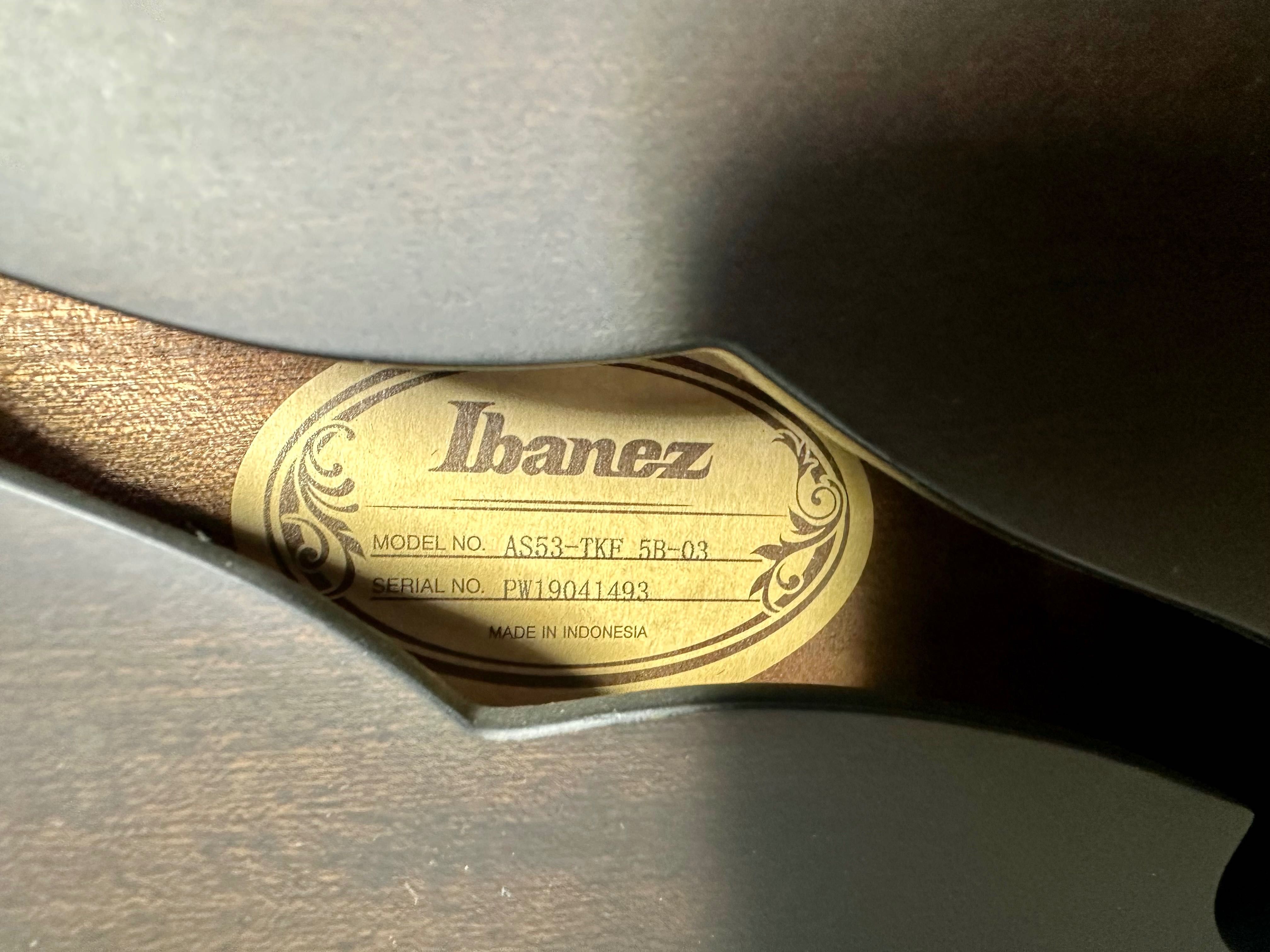 Ibanez AS53 Напівакустика, банка