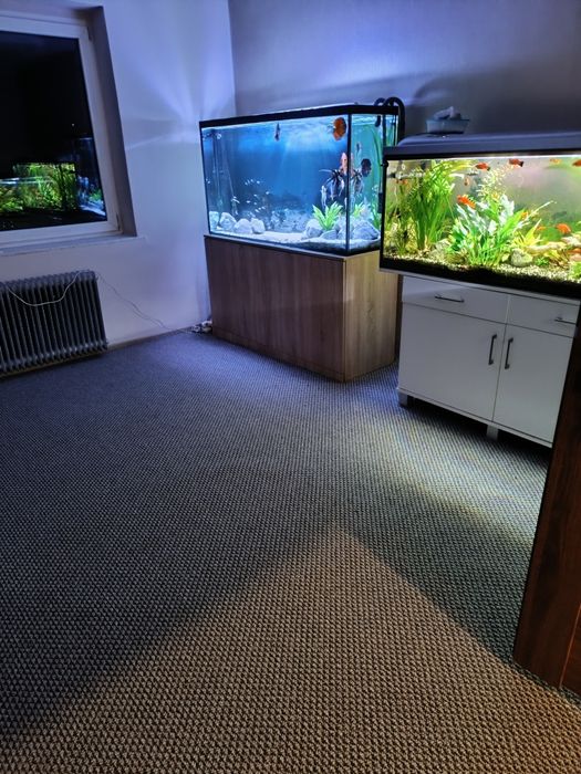 Akwarium duże zapraszam na pewno się dogadamy