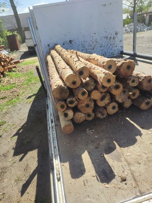 Kołki ogrodzeniowe drewniane, stemple 2,,5m, słupki do siatki leśnej