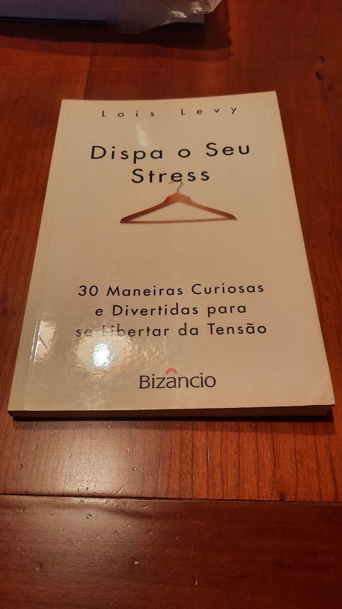 Dispa o seu stress Lois levy