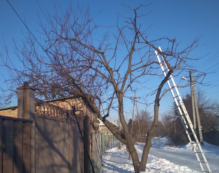 Обрезка сада, деревьев, винограда, обработка сада, опрыскивание сада