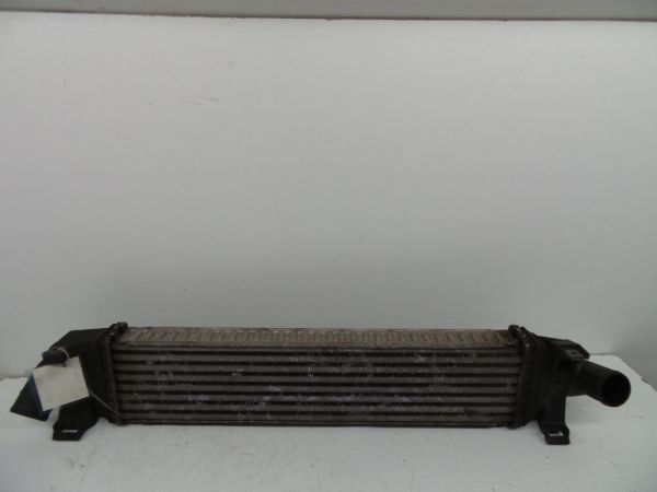 Radiador do intercooler FORD Focus II (DA_)
