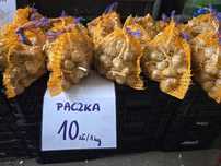 Czosnek drobny 1kg 10zl