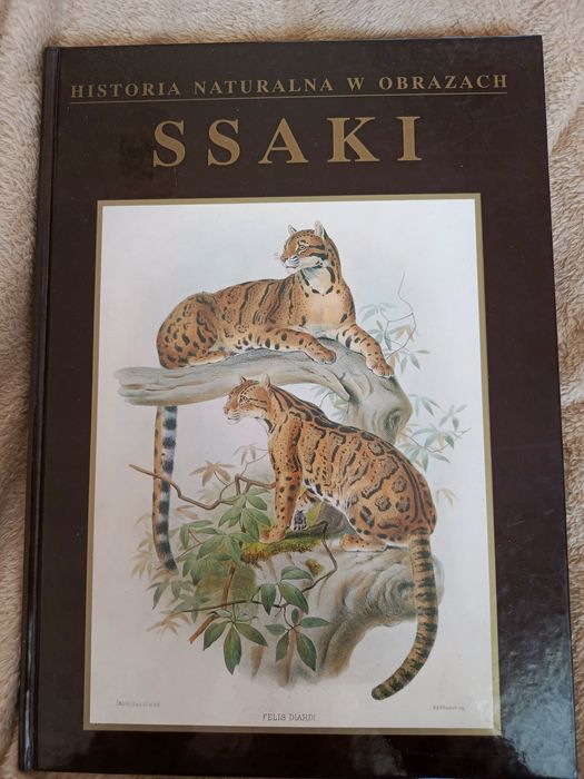 Historia Naturalna w Obrazach Ssaki twarda oprawa