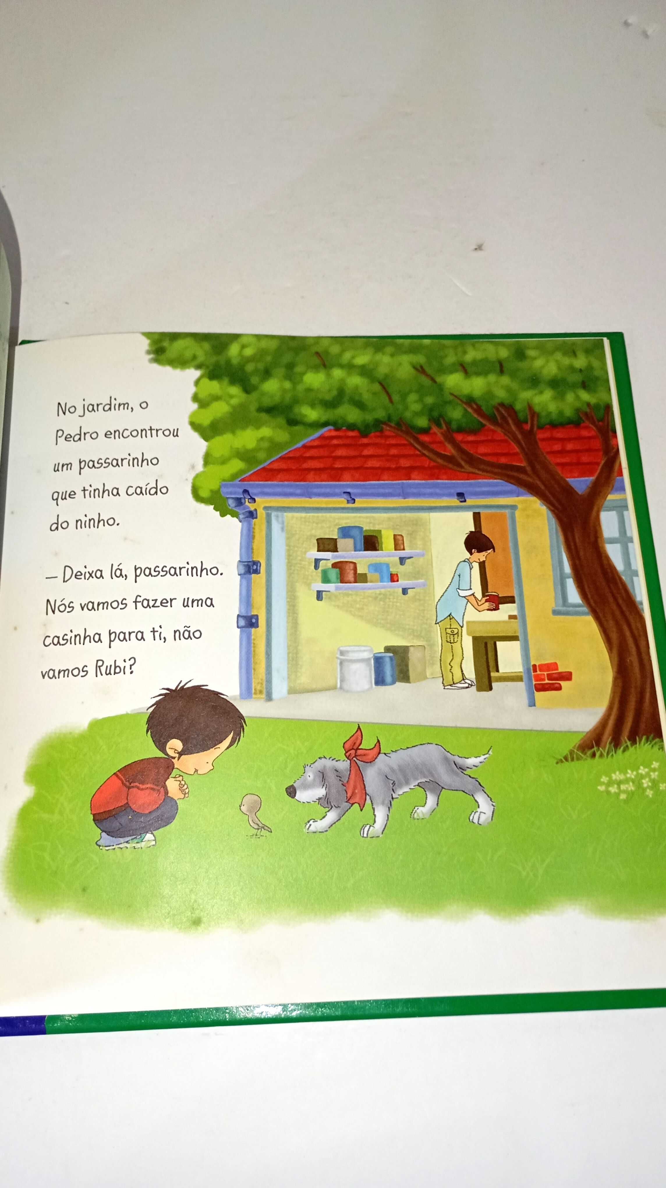 Pedro aprende bricolagem