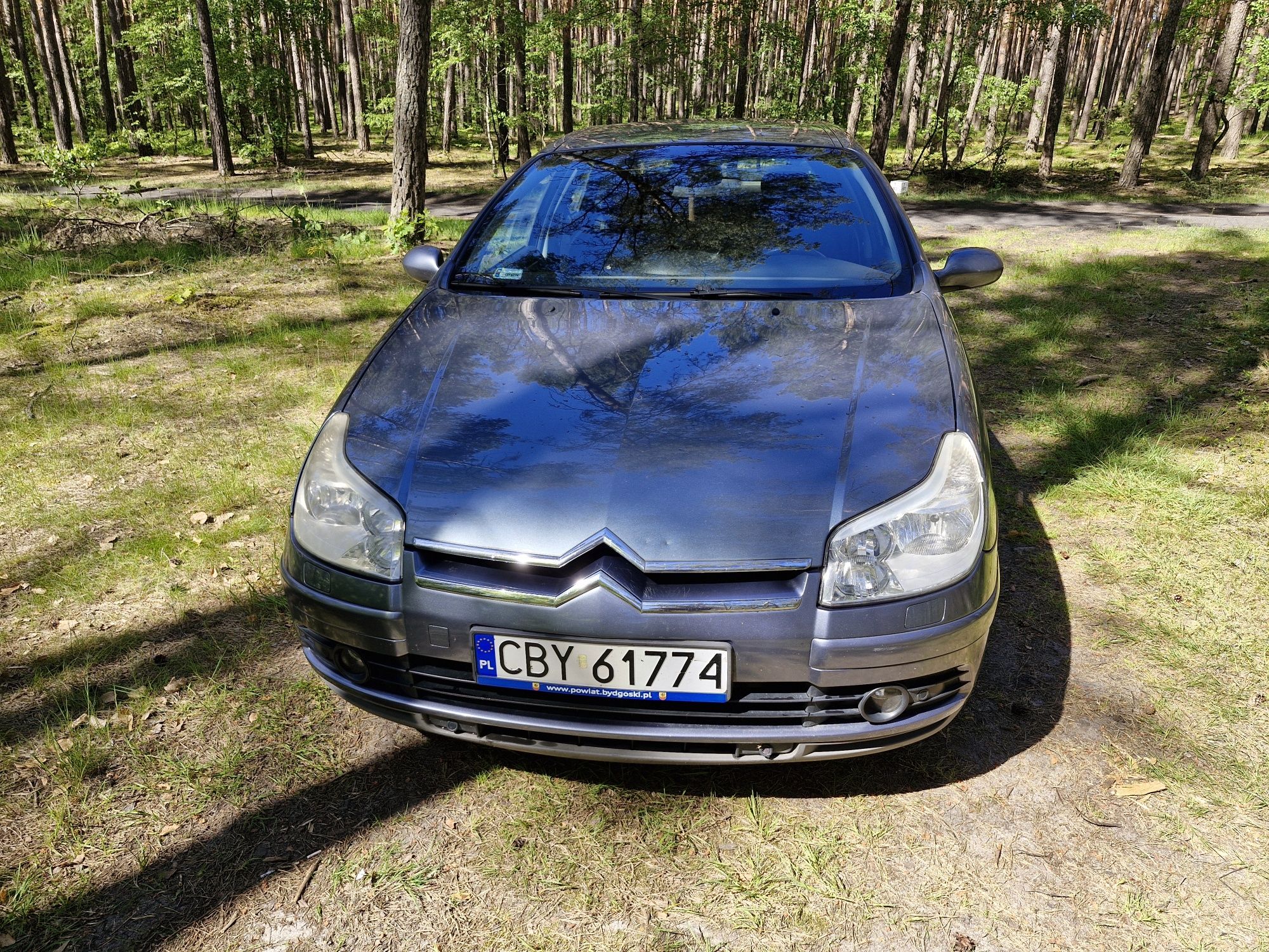 Citroen C5 1.6 hdi 2006r