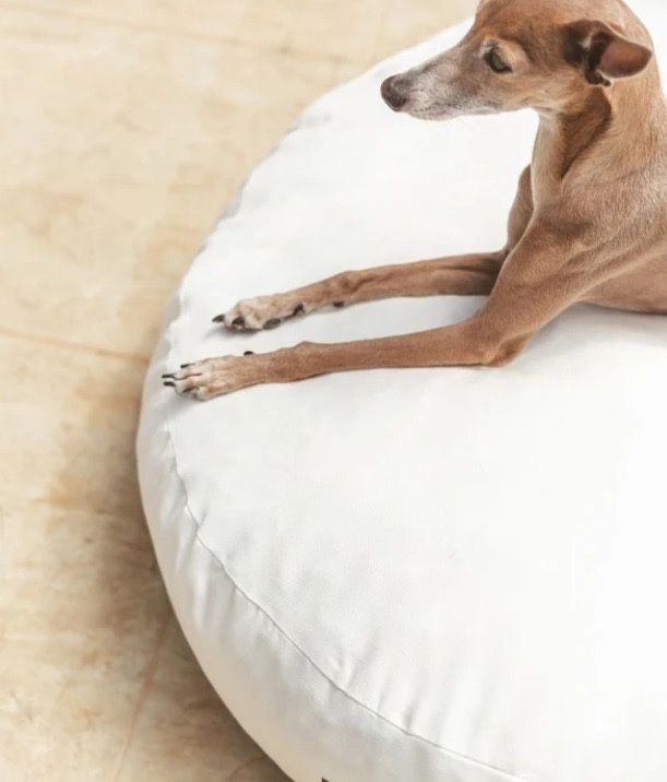 Cama para exterior e/ou interior para cão