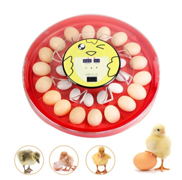 Chocadeira / incubadora automática até 30 ovos