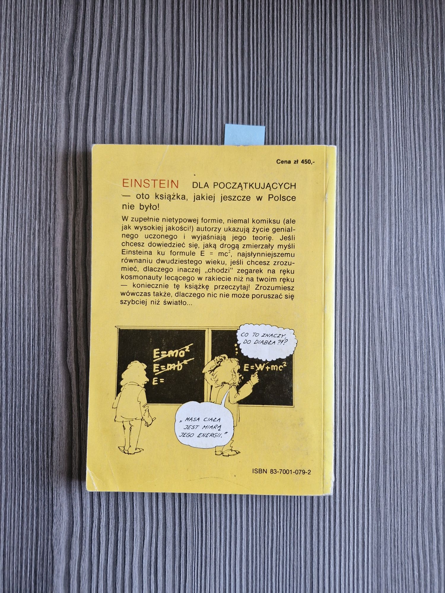 6028. "Einstein dla początkujących" Joseph Schwartz