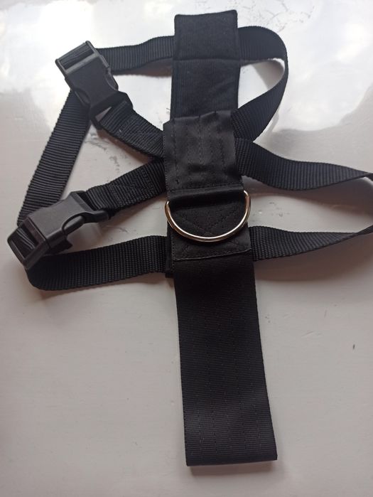 Szelki dla psa do samochodu