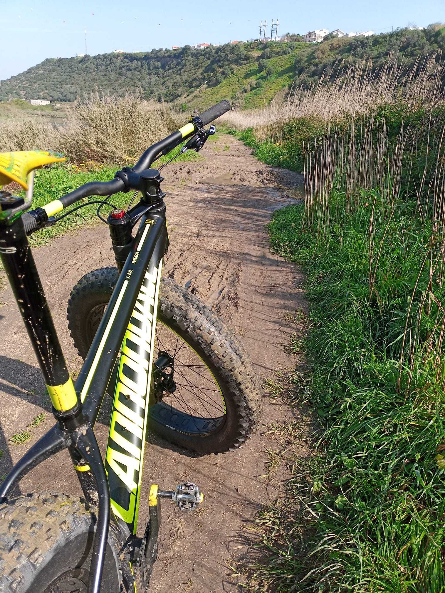 cannondale fat bike