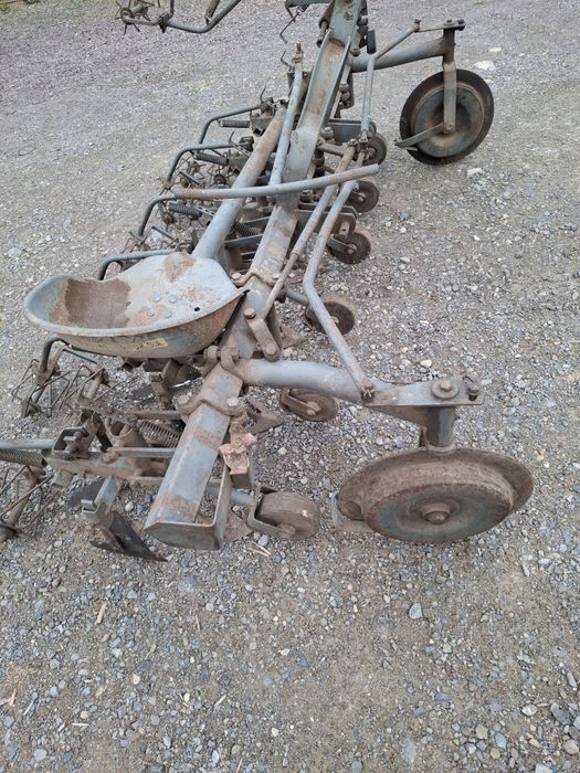 Wielorak planetka pielnik