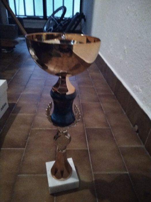 Troféu/taça multiusos