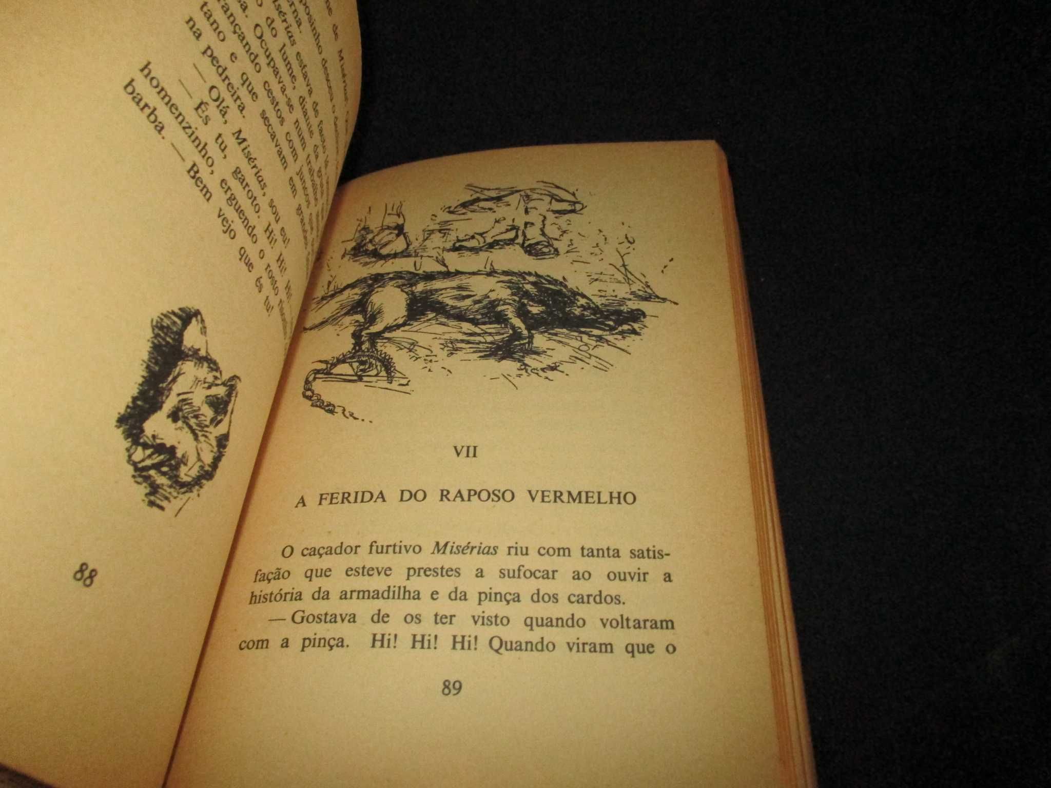 Livro O Raposo Vermelho May D'Alençon