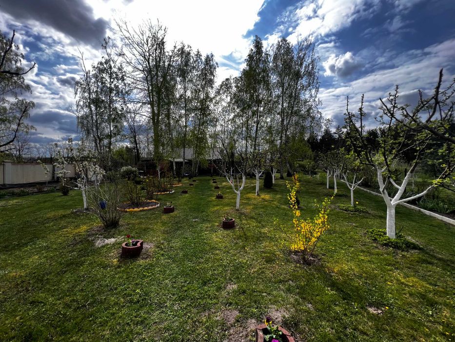 Будинок в м Березань, площа 220 м2, ремонт, ставок, баня, ліс