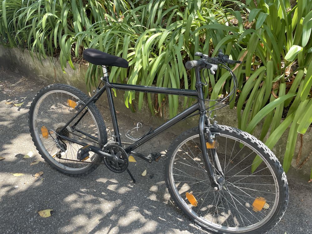 Bicicleta adulto
