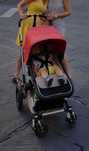 Bugaboo Cameleon 3 gondola + spacerówka