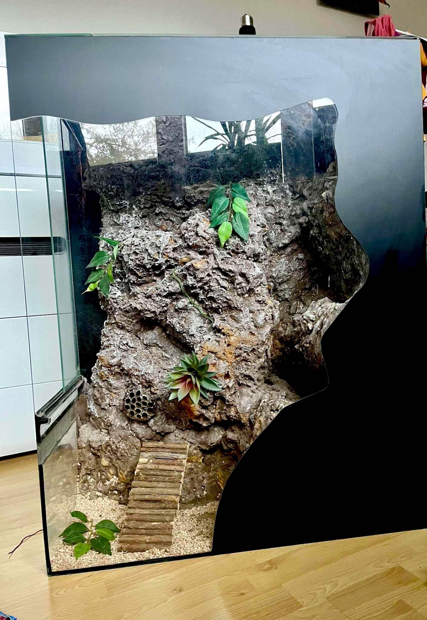 Terrarium pionowe 90x70x35 ze ścianką wyposażeniem gekon płazy