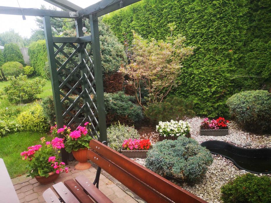 Dom z działką z dużym potencjałem w Przysusze, przy ul. Krakowskiej