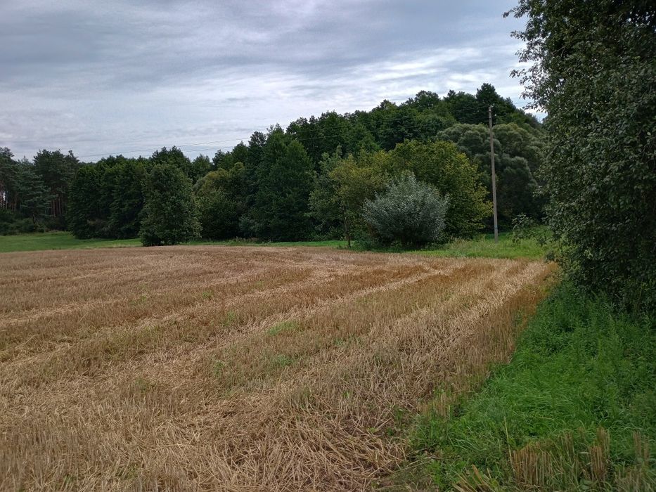 Działka 30 arowa