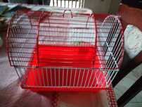 Gaiola hamster bom estado