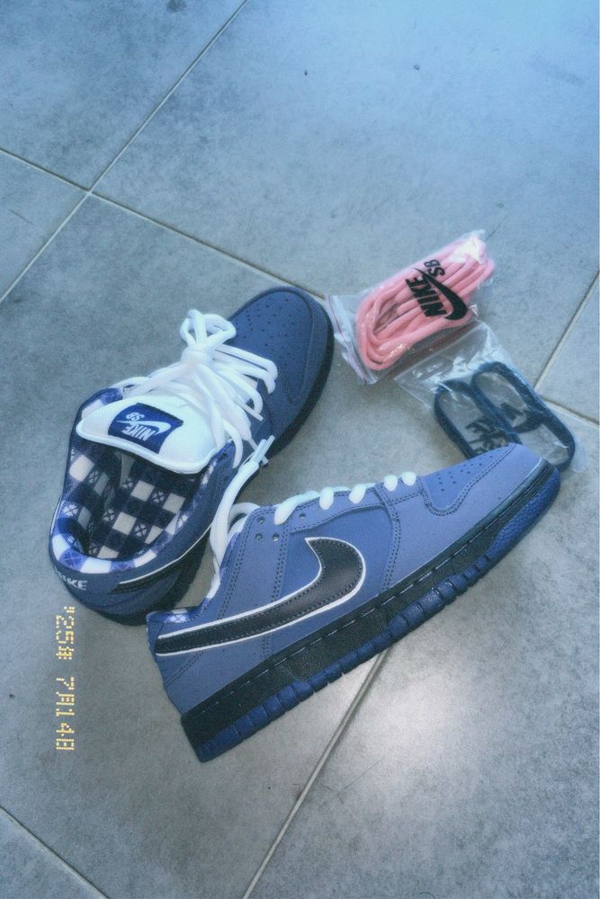 Кросівки Nike SB Dunk Low Lobster Purple
