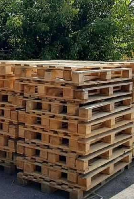 Поддоны 10шт.Бульвар Шеченка